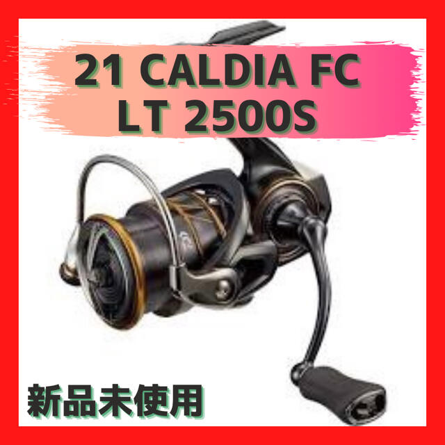ダイワ 21 カルディア FC LT 2500S