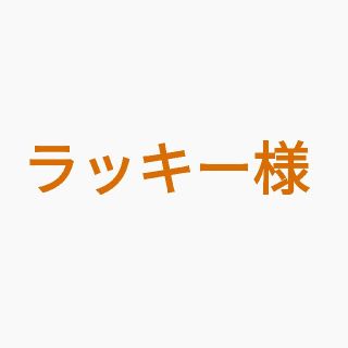 ラッキー様専用(ポップス/ロック(邦楽))