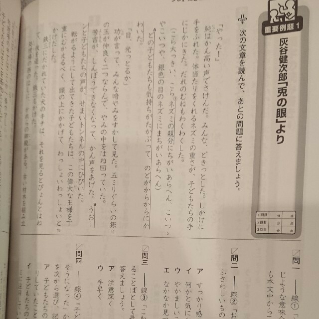 【☆☆8様専用】THOMAS トーマス 中学受験王道シリーズ プレⅠ 国社理