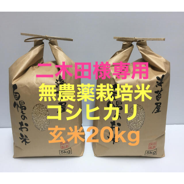 人気カラーの 二木田様専用 徳島県産 無農薬コシヒカリ玄米20kg(5kg×4)令和2年 米/穀物