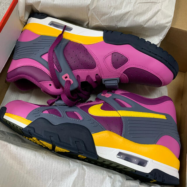 NIKE(ナイキ)のNike Air trainer 3 Viotech/Jordan force  メンズの靴/シューズ(スニーカー)の商品写真