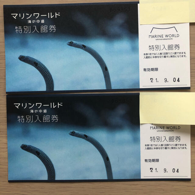 マリンワールド　海の中道　入館券　大人2枚　幼児1枚　3枚セット