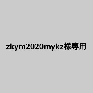 ステューシー(STUSSY)のzkym2020mykz様専用(シャツ)