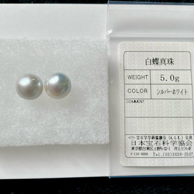 正規 PT900 南洋パール イヤリング 5.0g | www.doroteohotelboutique.com