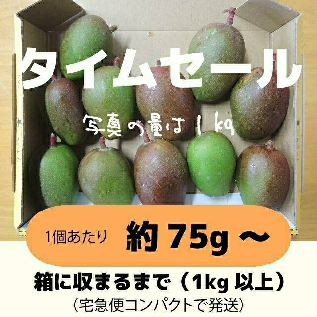 ［セール：橙］1キロ以上　グリーンマンゴー 青マンゴー　加工用　マンゴー 食品/飲料/酒の食品(フルーツ)の商品写真