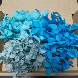 花材❀おすそ分け 204 紫陽花小分け(プリザーブドフラワー)