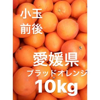 愛媛県　ブラッドオレンジ　10kg(フルーツ)