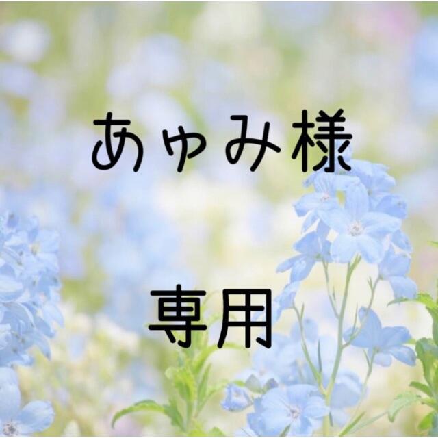 あゅみ様専用 お米 令和2年 愛媛県産キヌヒカリ 白米