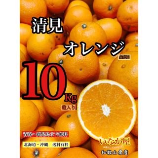 和歌山　清見オレンジ　早い者勝ち　セール　特価価格残り1点(フルーツ)