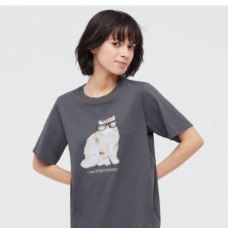 ポールアンドジョー(PAUL & JOE)のユニクロ×ポール&ジョー　Tシャツ　XL(Tシャツ(半袖/袖なし))