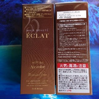 ボタニカル　エアカラーフォーム２本セット(白髪染め)