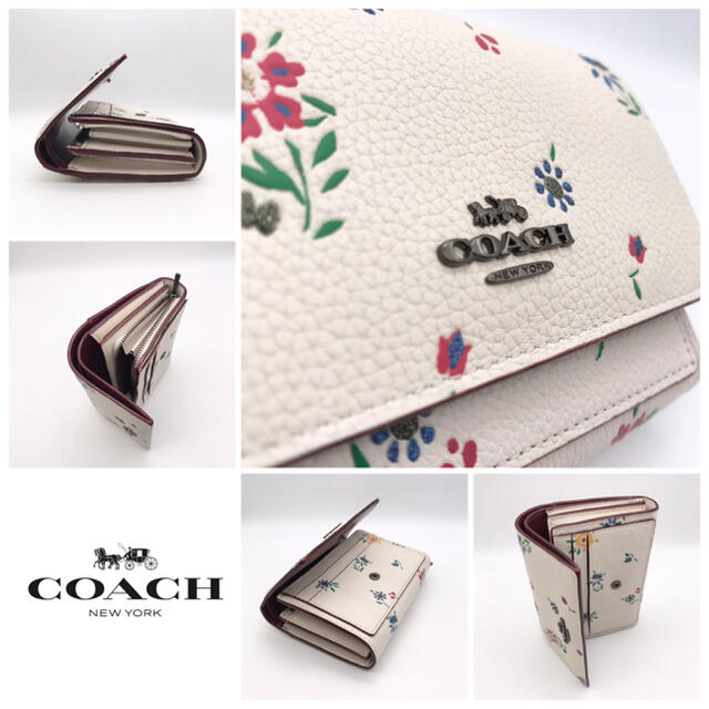 COACH - COACH 財布 花柄 ミディアム フラップ ウォレット ワイルド
