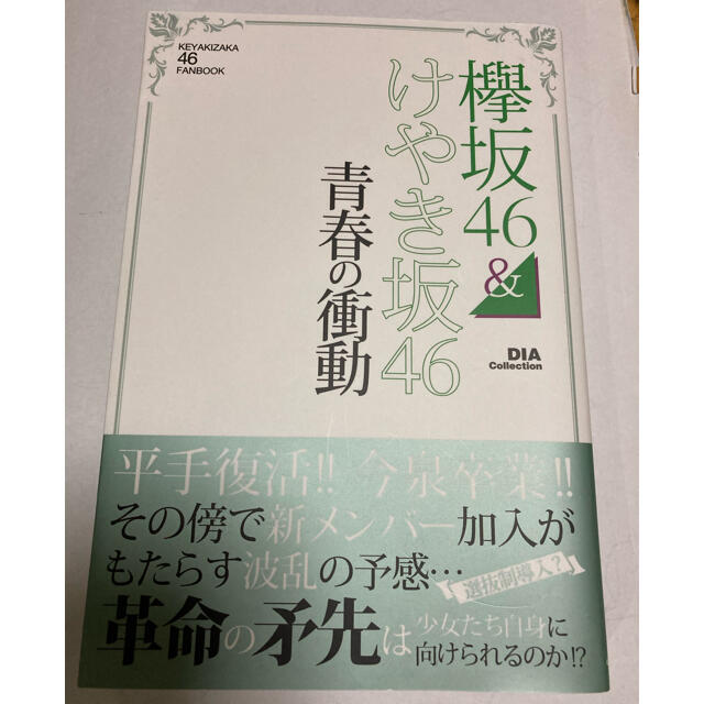 欅坂46(けやき坂46)(ケヤキザカフォーティーシックス)の欅坂４６＆けやき坂４６　青春の衝動 ＫＥＹＡＫＩＺＡＫＡ　４６　ＦＡＮＢＯＯＫ エンタメ/ホビーの本(アート/エンタメ)の商品写真