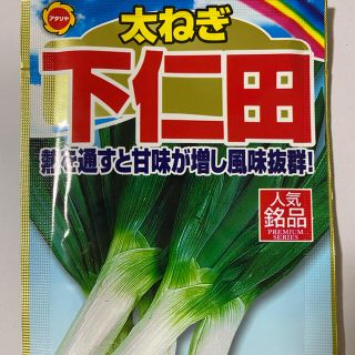 熱通すと甘みが増し風味抜群 ！ 太ネギ 下仁田ネギの種 30個(野菜)