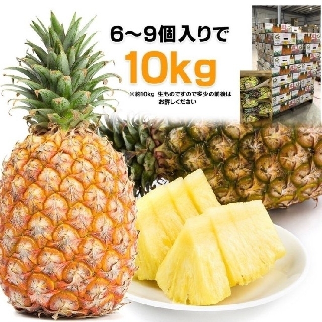【数量限定】台湾パイナップル　樹上紅　10kg 食品/飲料/酒の食品(フルーツ)の商品写真