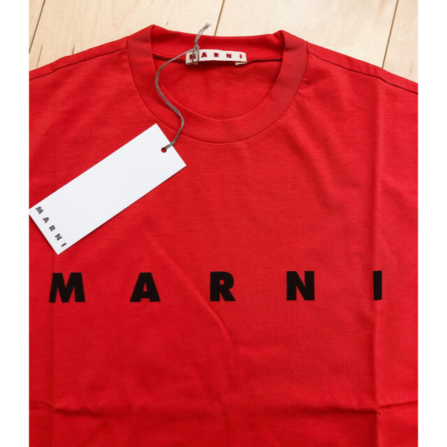 MARNI マルニ　シャツ　Tシャツ　新品未使用