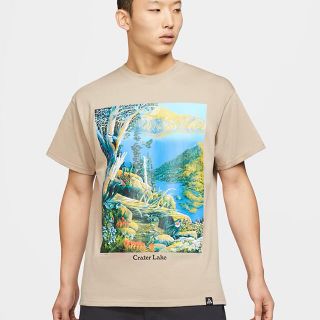 ナイキ(NIKE)のNike ACG Tシャツ(Tシャツ/カットソー(半袖/袖なし))