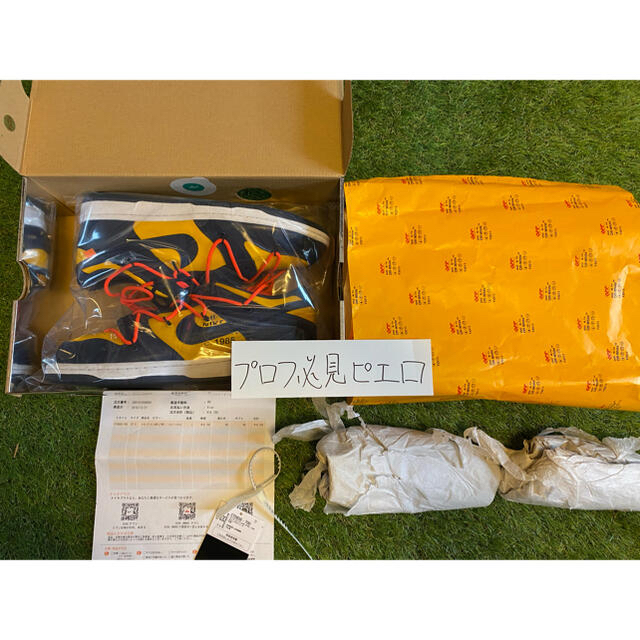 Off White Dunk Low Michigan