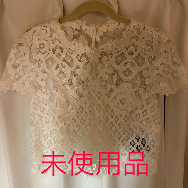 TADASHI SHOJI(タダシショウジ)のTadashi Shoji レース半袖シャツ レディースのトップス(シャツ/ブラウス(半袖/袖なし))の商品写真