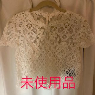 タダシショウジ(TADASHI SHOJI)のTadashi Shoji レース半袖シャツ(シャツ/ブラウス(半袖/袖なし))