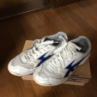 ミズノ(MIZUNO)のちむちむのほっぺ様専用ムーンスター体育館シューズ(スクールシューズ/上履き)