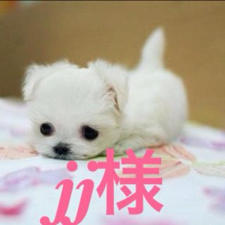 jj様専用♡(リング(指輪))