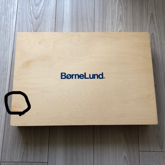 BorneLund(ボーネルンド)のボーネルンド積み木M キッズ/ベビー/マタニティのおもちゃ(積み木/ブロック)の商品写真