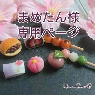 まめたん様 専用ページ いろいろなお菓子のアクセサリー(ピアス)