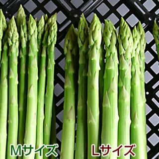 グリーンアスパラ 500g(野菜)