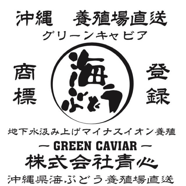 沖縄直送 海ぶどう　茎無しA良品　1キロ　送料無料！ 食品/飲料/酒の食品(野菜)の商品写真