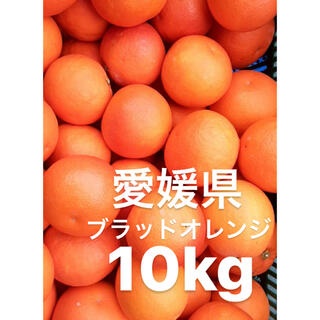愛媛県　ブラッドオレンジ　10kg(フルーツ)