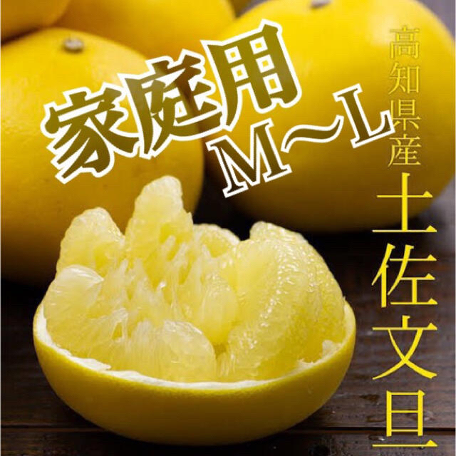 家庭用小玉【土佐文旦】M〜L混合サイズ 箱含めたっぷり11kg！約26玉前後 食品/飲料/酒の食品(フルーツ)の商品写真