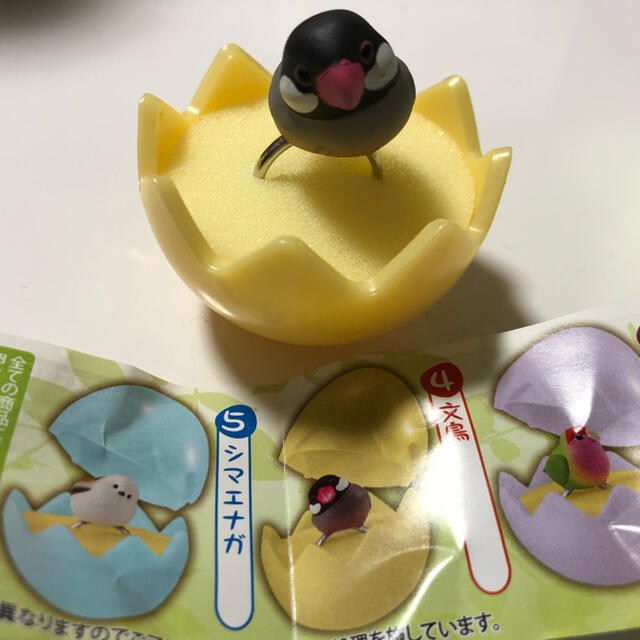 ことりんぐ セキセイインコ 文鳥 その他のペット用品(鳥)の商品写真