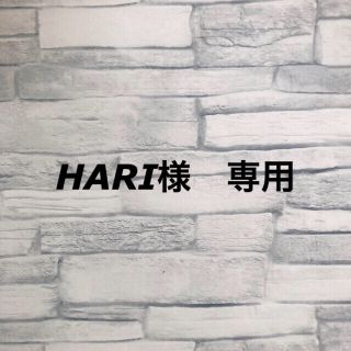 HARI様　専用です(その他)