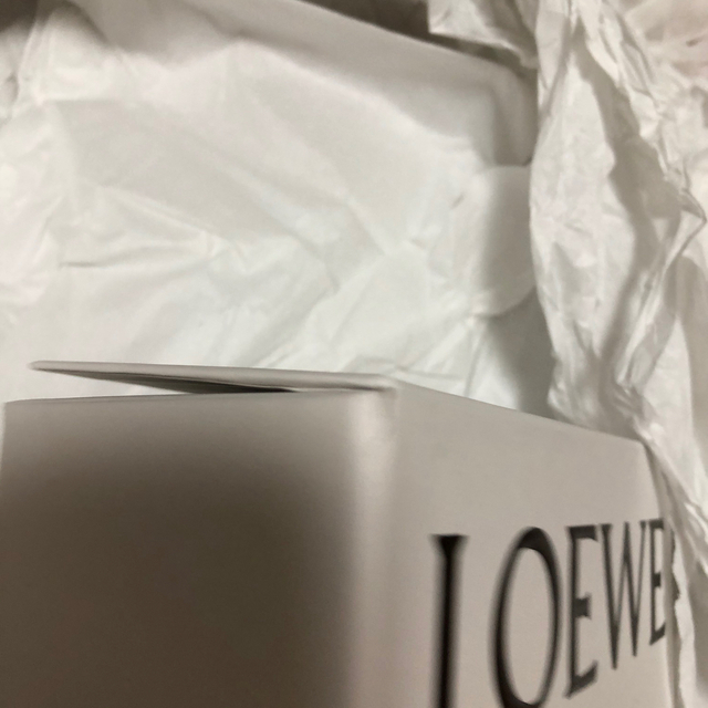 LOEWE(ロエベ)のLOEWE ロエベ  パウル　イビザ　 シェル　レザーコインケース レディースのファッション小物(コインケース)の商品写真