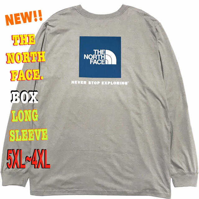 THE NORTH FACE(ザノースフェイス)の最大 ♪ 新品 ノースフェイス BOX NSE ロンT グレー 5XL メンズのトップス(Tシャツ/カットソー(七分/長袖))の商品写真