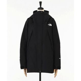 ザノースフェイス(THE NORTH FACE)のNORTH FACE HYKE ハイク GTX PRO Ski Jacket M(ナイロンジャケット)