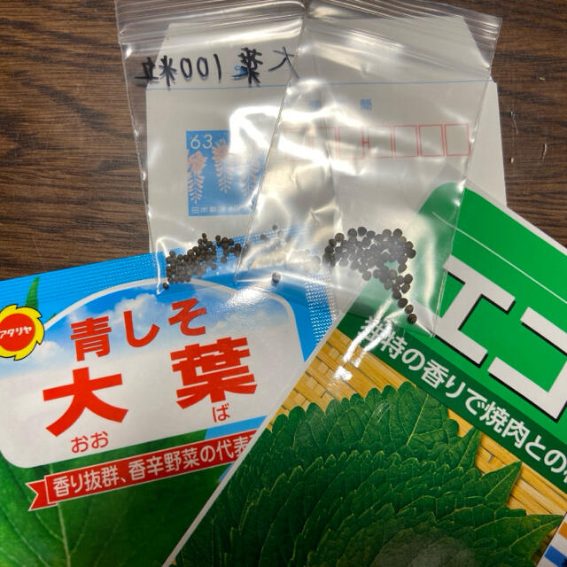 【プランター栽培】大葉50粒、エゴマ50粒！《小分けパック》 食品/飲料/酒の食品(野菜)の商品写真