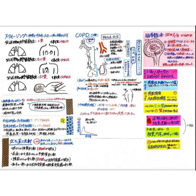 【看護学生に！】看護師国家試験対策 学年トップのふせんノート USB エンタメ/ホビーの本(語学/参考書)の商品写真