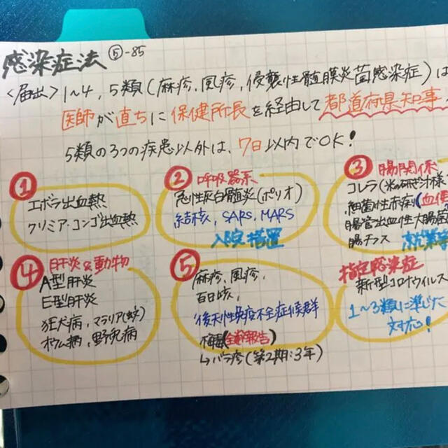 【看護学生に！】看護師国家試験対策 学年トップのふせんノート USB エンタメ/ホビーの本(語学/参考書)の商品写真