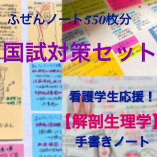 看護師国家試験対策に！ ふせんノート&解剖生理学ノート USB(健康/医学)