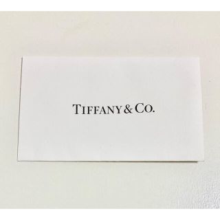 ティファニー(Tiffany & Co.)のTIFFANY ティファニー レシート入れ ミニ封筒(小物入れ)