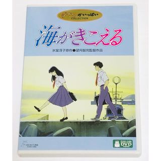 244.海がきこえる('93徳間書店/スタジオジブリ)〈特典ディスク〉DVD