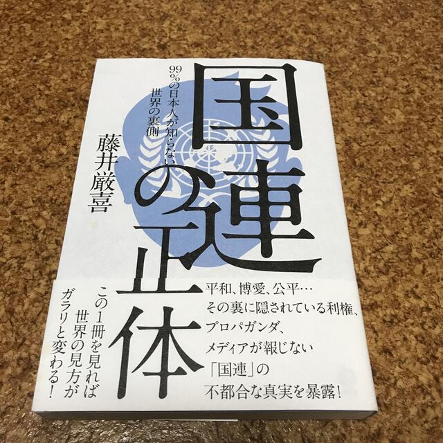 国連の正体　99%の日本人が知らない世界の裏側　藤井巌喜　ダイレクト出版　 エンタメ/ホビーの本(ビジネス/経済)の商品写真