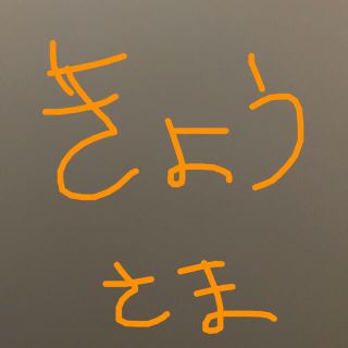 きょう様専用(その他)