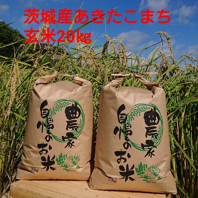 食品茨城令和2年産あきたこまち玄米20㎏