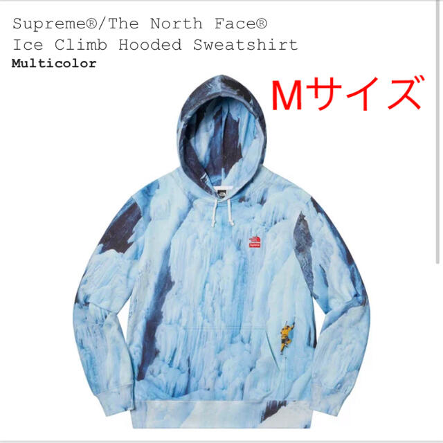 Supreme North Face Ice Climb Hooded パーカー