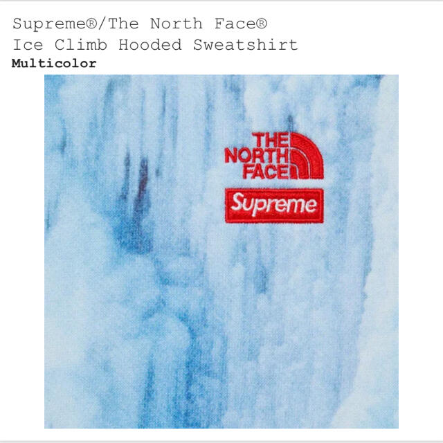 Supreme North Face Ice Climb Hooded パーカー
