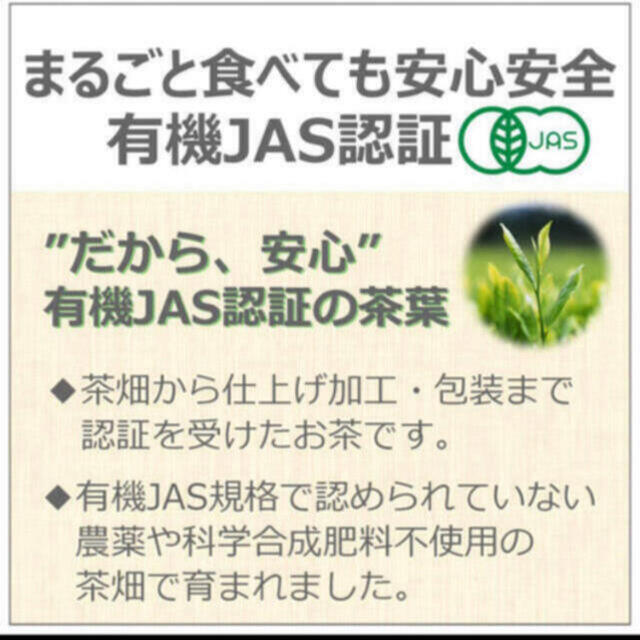 伊藤園(イトウエン)の伊藤園 有機粉末茶 国産茶葉100％使用 まるごと茶カテキン 6袋 食品/飲料/酒の健康食品(健康茶)の商品写真