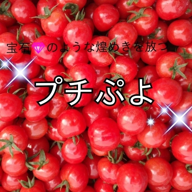 宝石のような煌めきを放つ「プチぷよ」2kg箱込み☆662